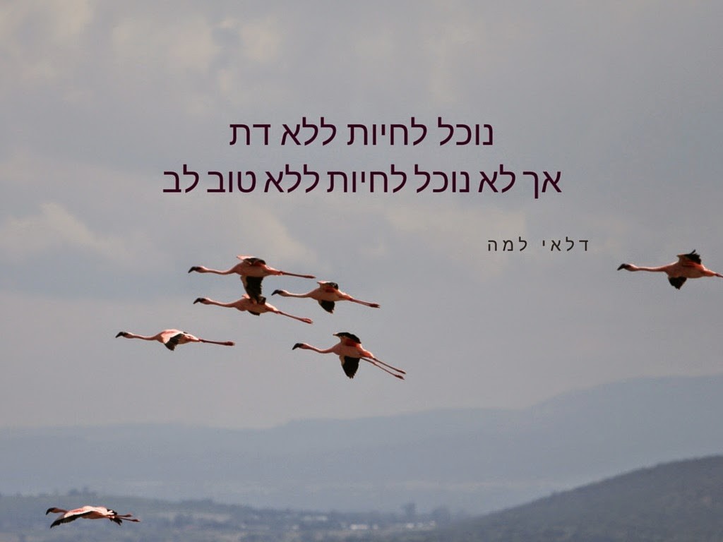 חמלה - כרינה ובר